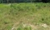 IMG_20160906_120446 Compress E.jpg